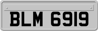 BLM6919