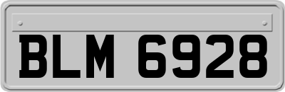BLM6928