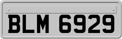 BLM6929