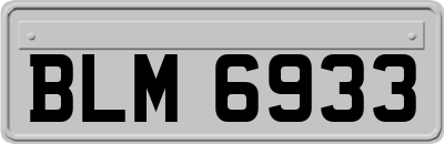 BLM6933