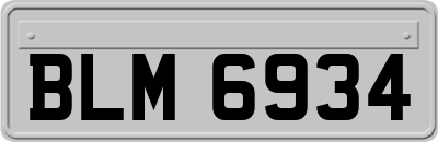BLM6934