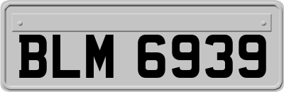 BLM6939