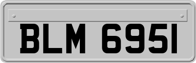 BLM6951