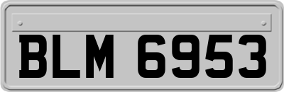 BLM6953