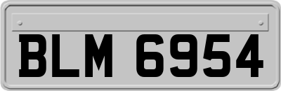 BLM6954