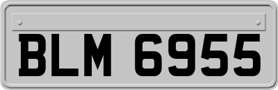 BLM6955