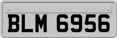 BLM6956