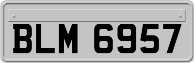 BLM6957