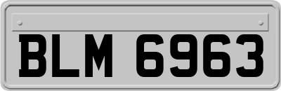 BLM6963
