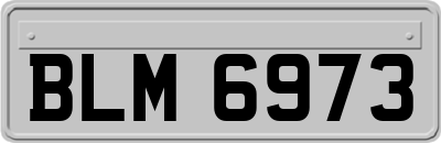 BLM6973