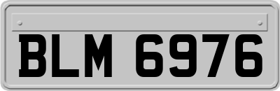 BLM6976