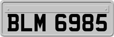 BLM6985