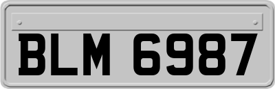BLM6987