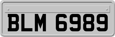 BLM6989