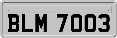 BLM7003
