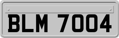 BLM7004