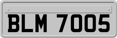 BLM7005