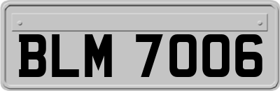 BLM7006