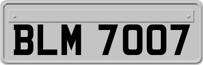 BLM7007