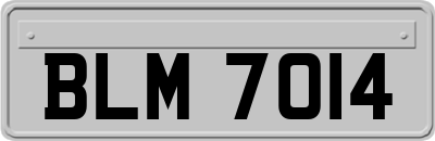 BLM7014