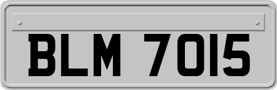 BLM7015