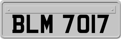 BLM7017