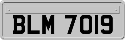 BLM7019