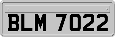 BLM7022
