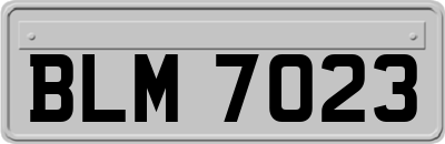 BLM7023