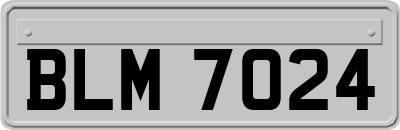 BLM7024
