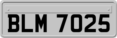 BLM7025