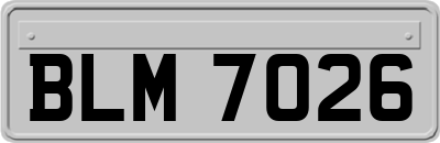BLM7026
