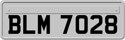 BLM7028