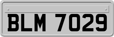 BLM7029