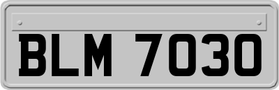 BLM7030