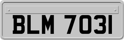 BLM7031