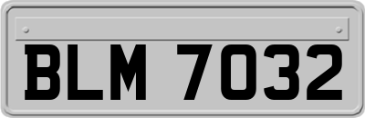BLM7032