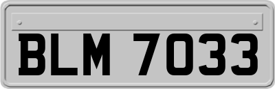 BLM7033