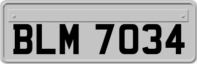 BLM7034
