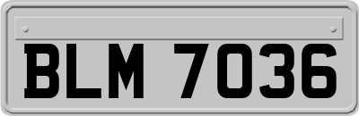 BLM7036