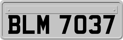 BLM7037