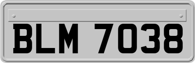 BLM7038