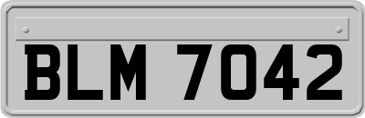 BLM7042