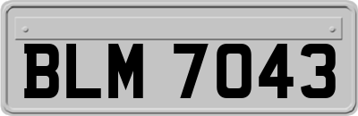 BLM7043
