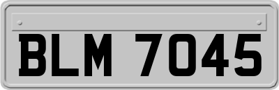 BLM7045