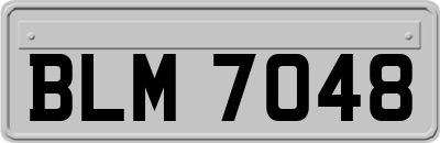BLM7048
