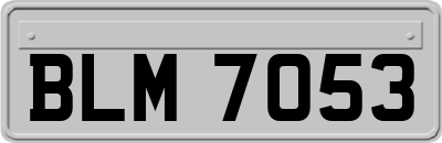 BLM7053