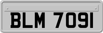 BLM7091