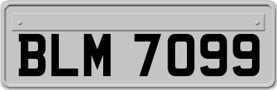 BLM7099