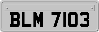 BLM7103